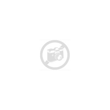 MICHELIN Pilot Alpin PA4 285/30R21 100W