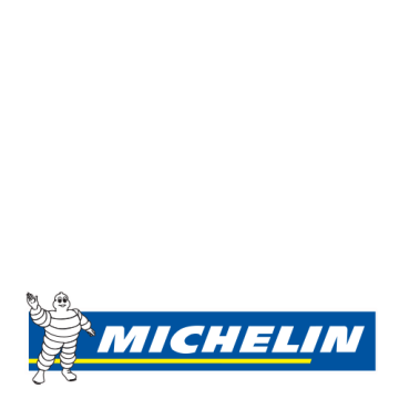 MICHELIN primacy 5 235/55R19 101V
